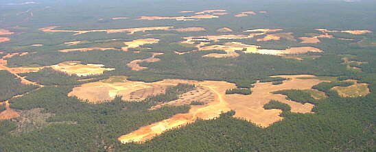 Durch den Bauxitabbau zerstörter australischer Urwald.